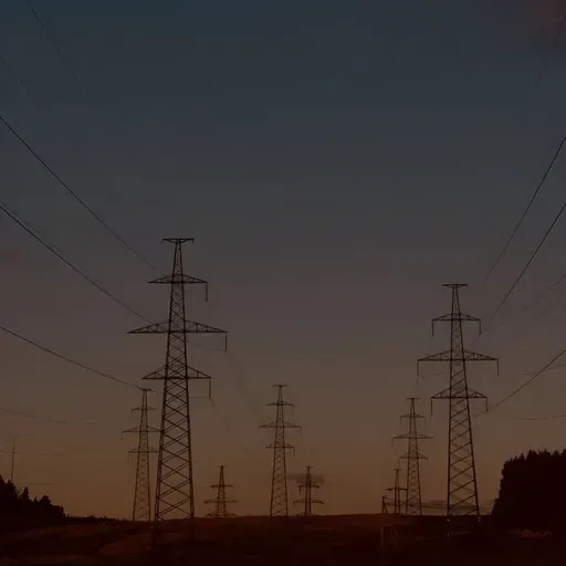 Ilya Fedorov ‒ December Podcast, 2025 [Vinyl Only]