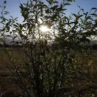 SILKY SMOOTH JAZZ, & SLOW JAMS AFTER DARK! ON 108.3 WGKSRADIO show 2673