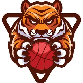mega basket