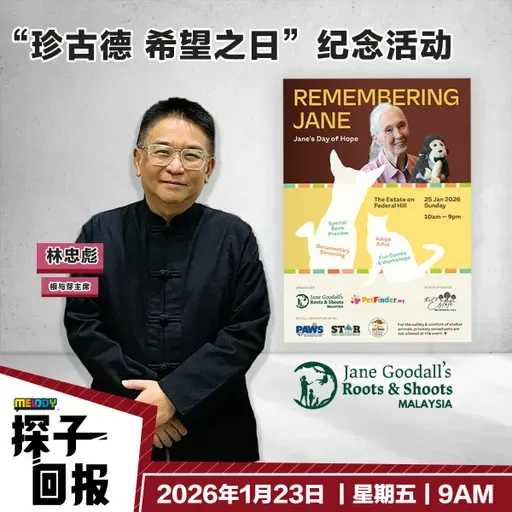 MELODY｜“珍古德—希望之日”纪念活动｜探子回报 20260123