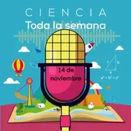 14 de noviembre