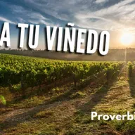 Cuida tu viñedo