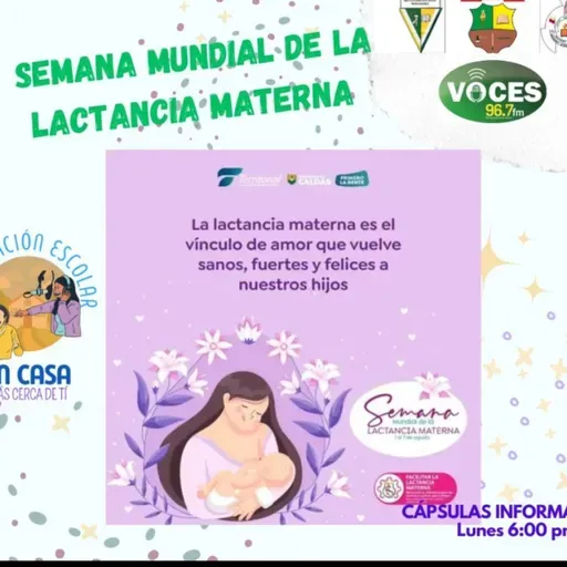 Celebración del día mundial de la lactancia materna 