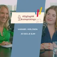 Variabel verlonen uitgelegd | Bonussen, cao 90, winstpremie & warrants – SD Worx & #ZigZagHR