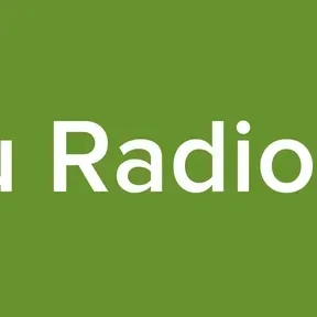 Edu Radio GT