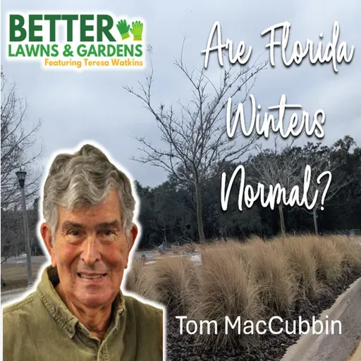 S2 Ep428: Better Lawns and Gardens - Hour 1 Are Florida Winters Normal? Feb 21, 2026
