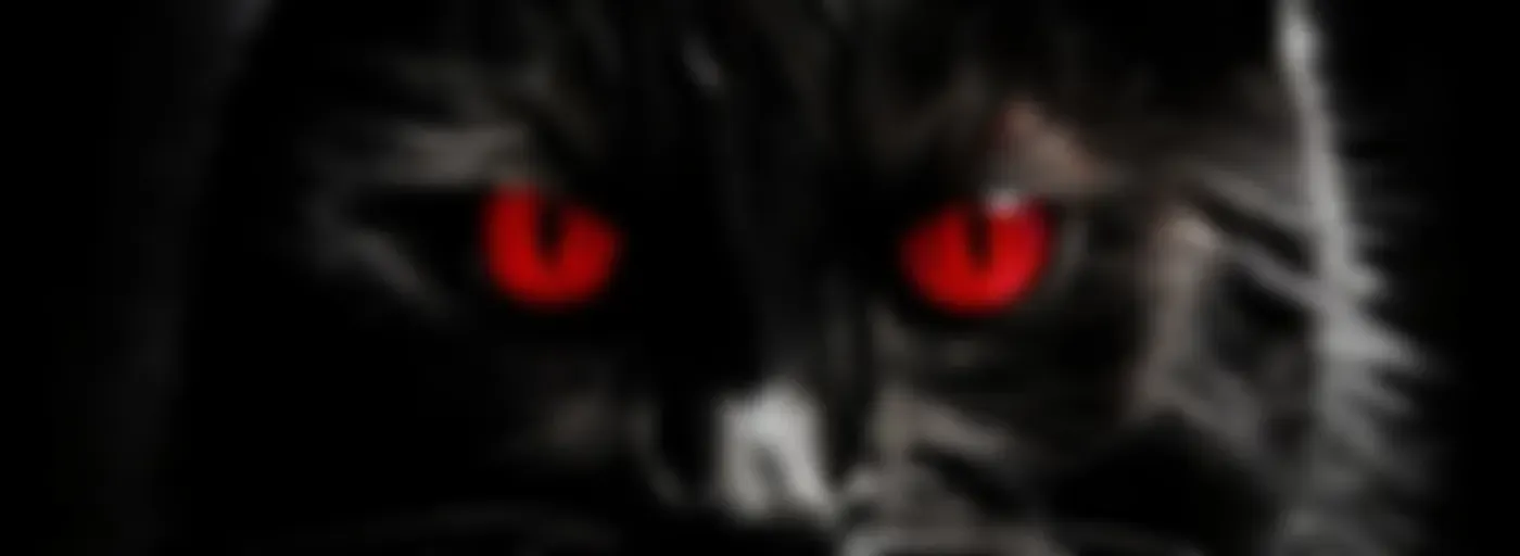 Relatos de Terror del Gato