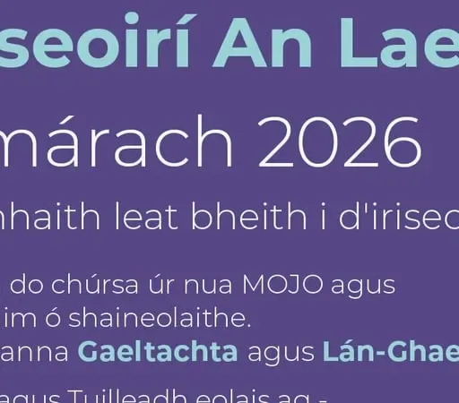 Conall Ó Máirtín, Eagarthóir Oideachais TG4 agus TG4 Foghlaim.