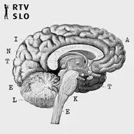 Bo pohod umetne inteligence povzročil novo razslojevanje?