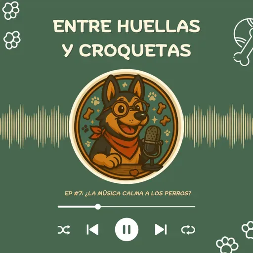 ¿La música calma a los perros?