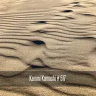 Kemmi Kamachi # 517