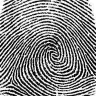 AS IMPRESSÕES DIGITAIS