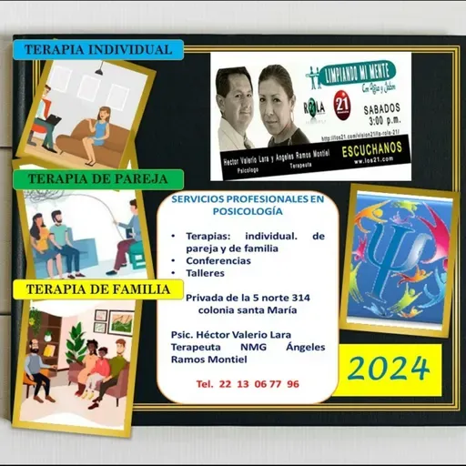 Servicios profesionales en psicología Tema Cementerio de esperanzas humanas 