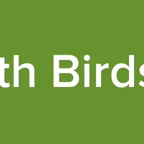 Music with Birds Singing