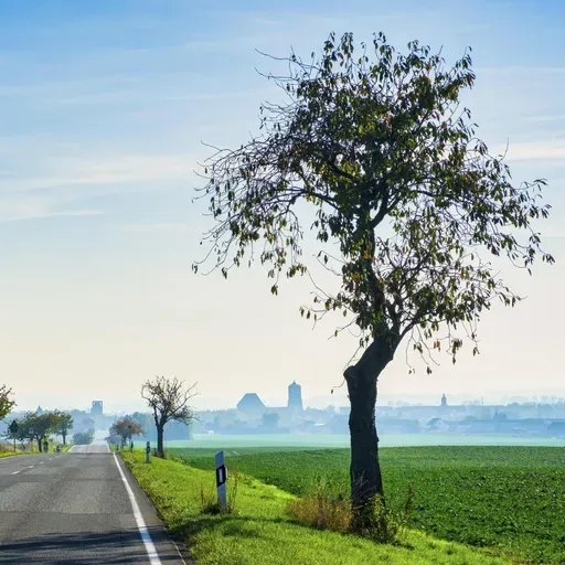 Deutsche Einheit - Wo in Brandenburg Zuversicht spürbar ist