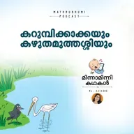  കറുമ്പിക്കാക്കയും കഴുതമുത്തശ്ശിയും  | മിന്നാമിന്നിക്കഥകള്‍ | Malayalam Bedtime stories