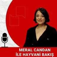 Hayvan arama kurtarmanın incelikleri neler? | Volkan Çayan anlatıyor | Patidio ile Hayvani Bakış