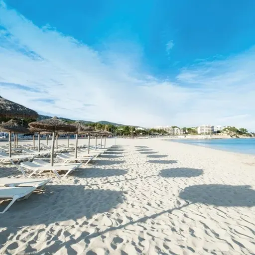 Informativo (20/3/2026)