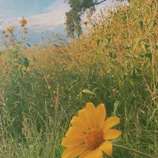 ValoresTransmitidos👨🏽‍🦳👵🏽+🧔🏽👩🏽‍🦱=👧🏽👦🏽