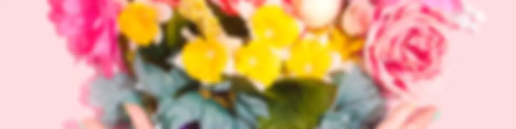 Los colores del corazón