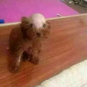 xdxdxd