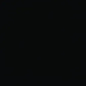 MISHEL PILAR APARICIO