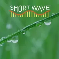Why Dew Point Is This Summer's 'It Girl'