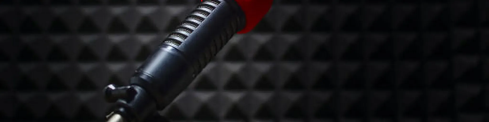 RADIO LIRIO DOS VALES/// TERENO MS