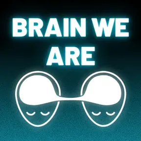 Brain We Are CZ