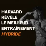 Harvard vient de redéfinir l’entraînement après 40 ans
