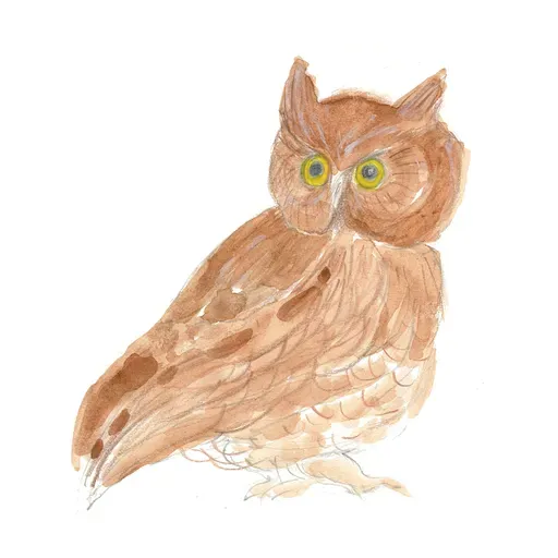 #103-Four more little poems, et al