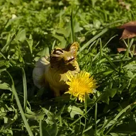 6 - Escrever no comboio (andar, poisar, pensar)