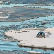 Hör zu! Mach mit. Ein Klima Podcast Folge 5