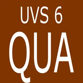UVS 6 Estrelas IV