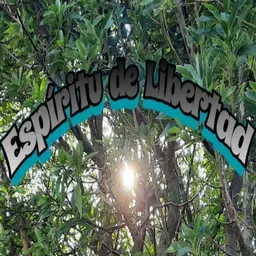conciencia cósmica
