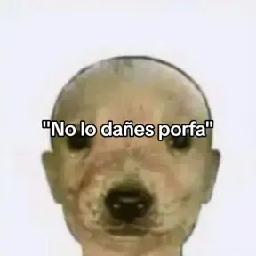 Sampdroid rp
