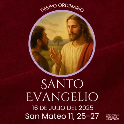 Evangelio del 16 de julio del 2025 según Mateo 11, 25-27