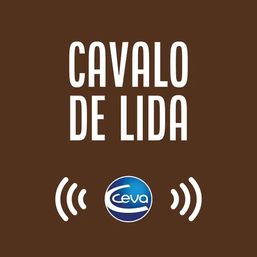 Cavalo de lida #06 Casqueamento e dicas de encilhamento
