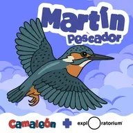 Martín pescador: El ave que inspiró al tren bala