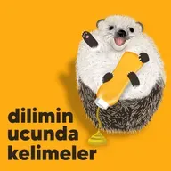 Dilimin Ucunda Kelimeler #66 - Doğru
