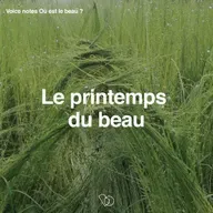 [Goûter au Social Club : épisode 4/5 pour sentir si tu veux m'y rejoindre] 🔓 🎁 - le printemps du beau  [ACCES LIBRE DU CONTENU PREMIUM]
