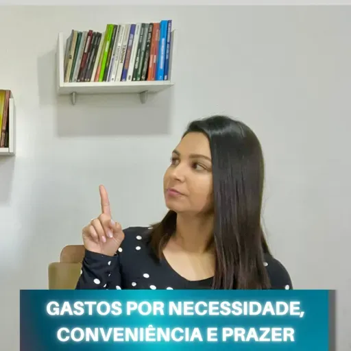 Gastos por NECESSIDADE, CONVENIÊNCIA E PRAZER