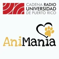 Chocolate en perros & Viajar con mascotas
