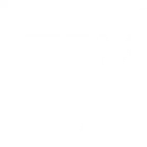 Flirt FM 101.3