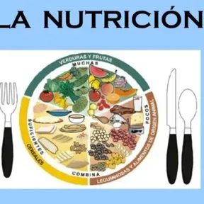 Alimentación Saludable
