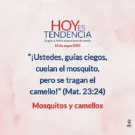 Mosquitos y camellos ~ Devocional de Jóvenes ~ 10 de mayo 2025