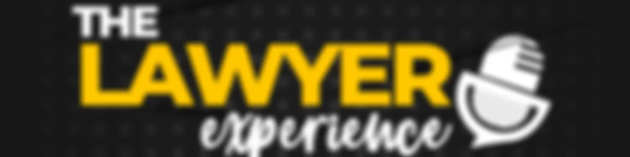 The Lawyer Experience