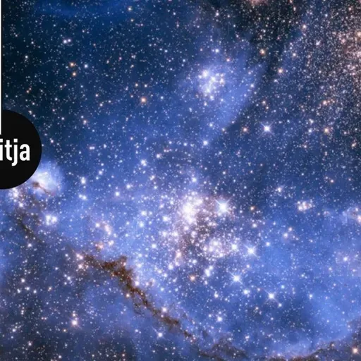Teadusuudis. Astronoomid leidsid üles Linnutee peidetud piiri