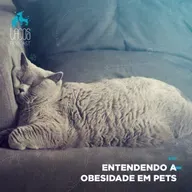 #50: Entendendo a Obesidade em Pets
