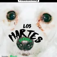 sadtuesday sesión 6-6